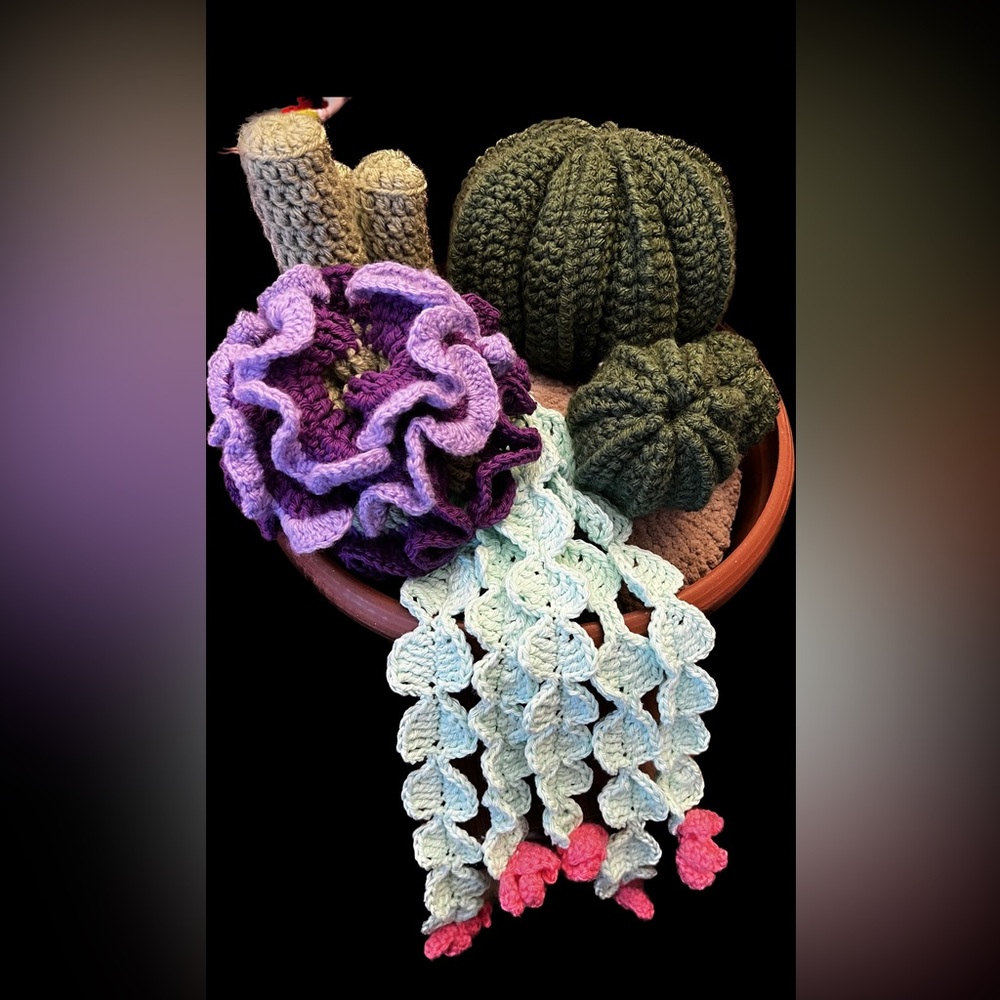 Crochet Succulent Arrangement